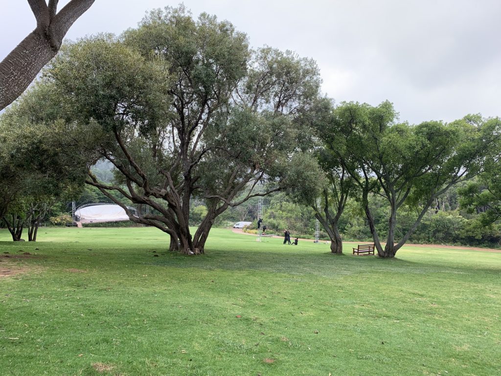 Scène de concert à Kirstenbosch