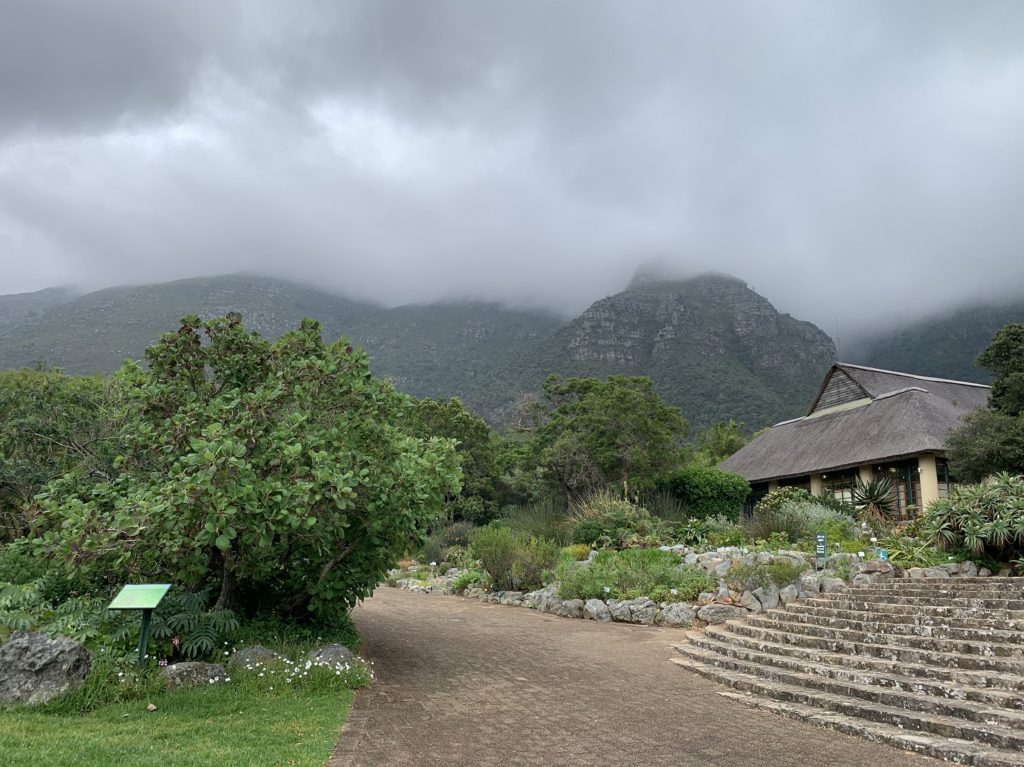 Garden of Extinction à Kirstenbosch