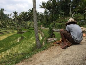 Gunung Kawi, entre temple et rizières