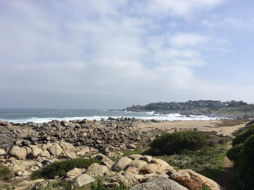 Plage à Isla Negra