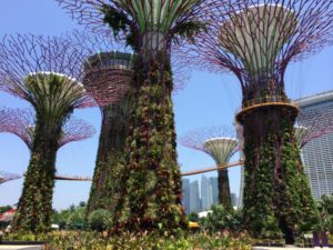 Prendre un peu de hauteur à Singapour