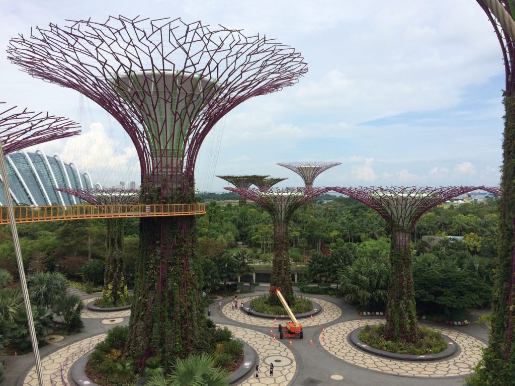 Supertrees Skyway à Gardens by the Bay