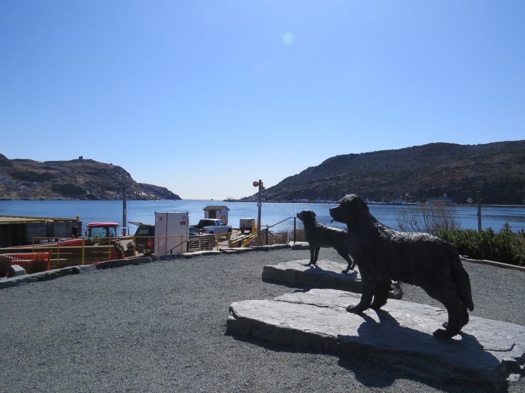 Vue sur la baie de St John's