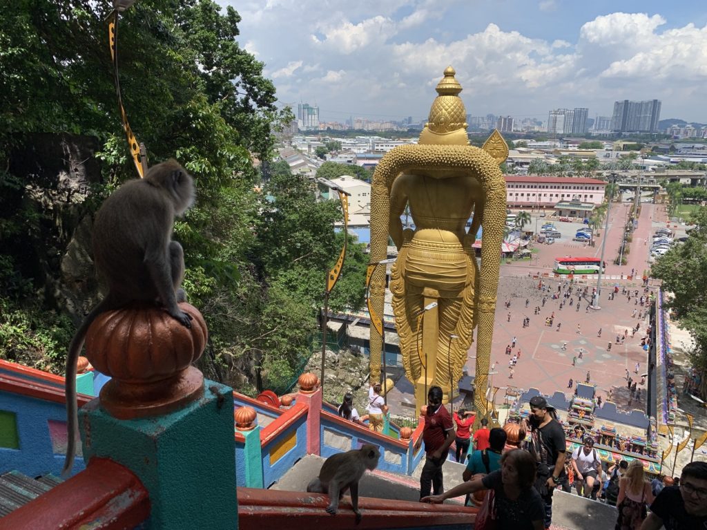 Singe et vue sur Kuala Lumpur