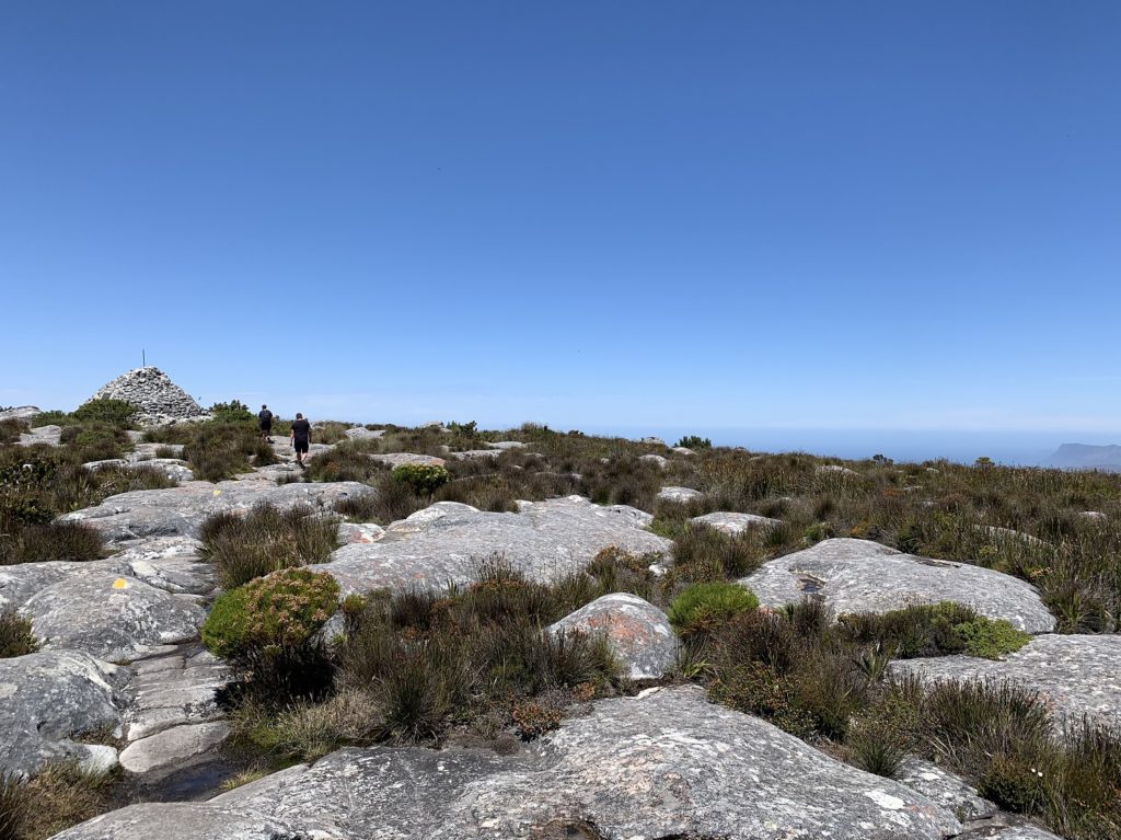 En haut du plateau de Table Mountain