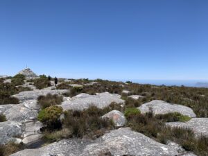 En haut du plateau de Table Mountain