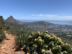 Chemin randonnée à Table Mountain