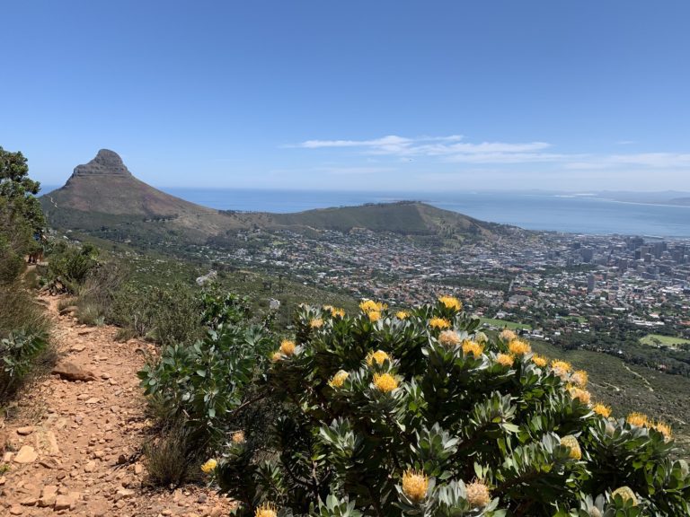 Chemin randonnée à Table Mountain