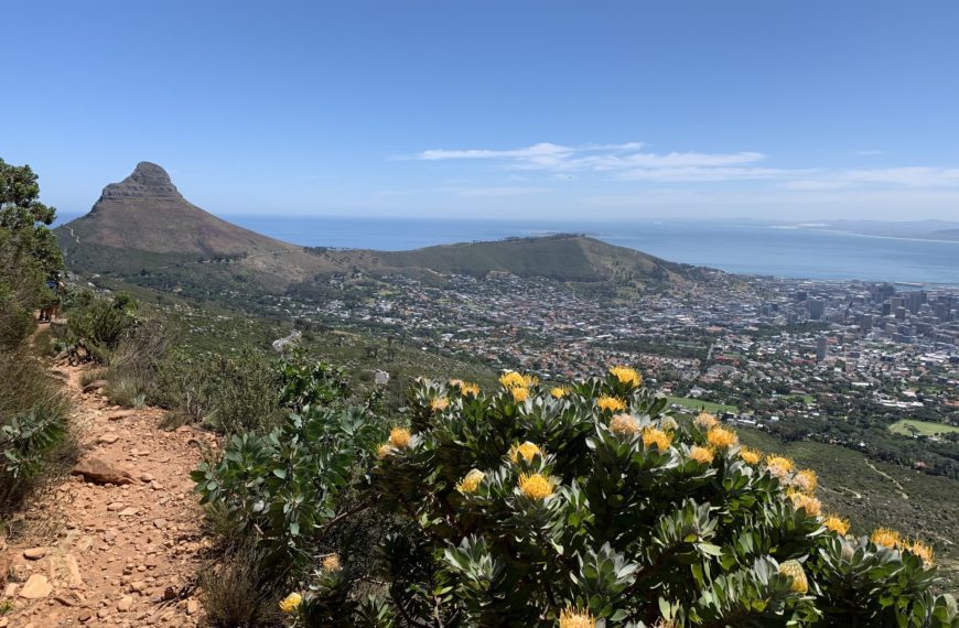 Chemin randonnée à Table Mountain
