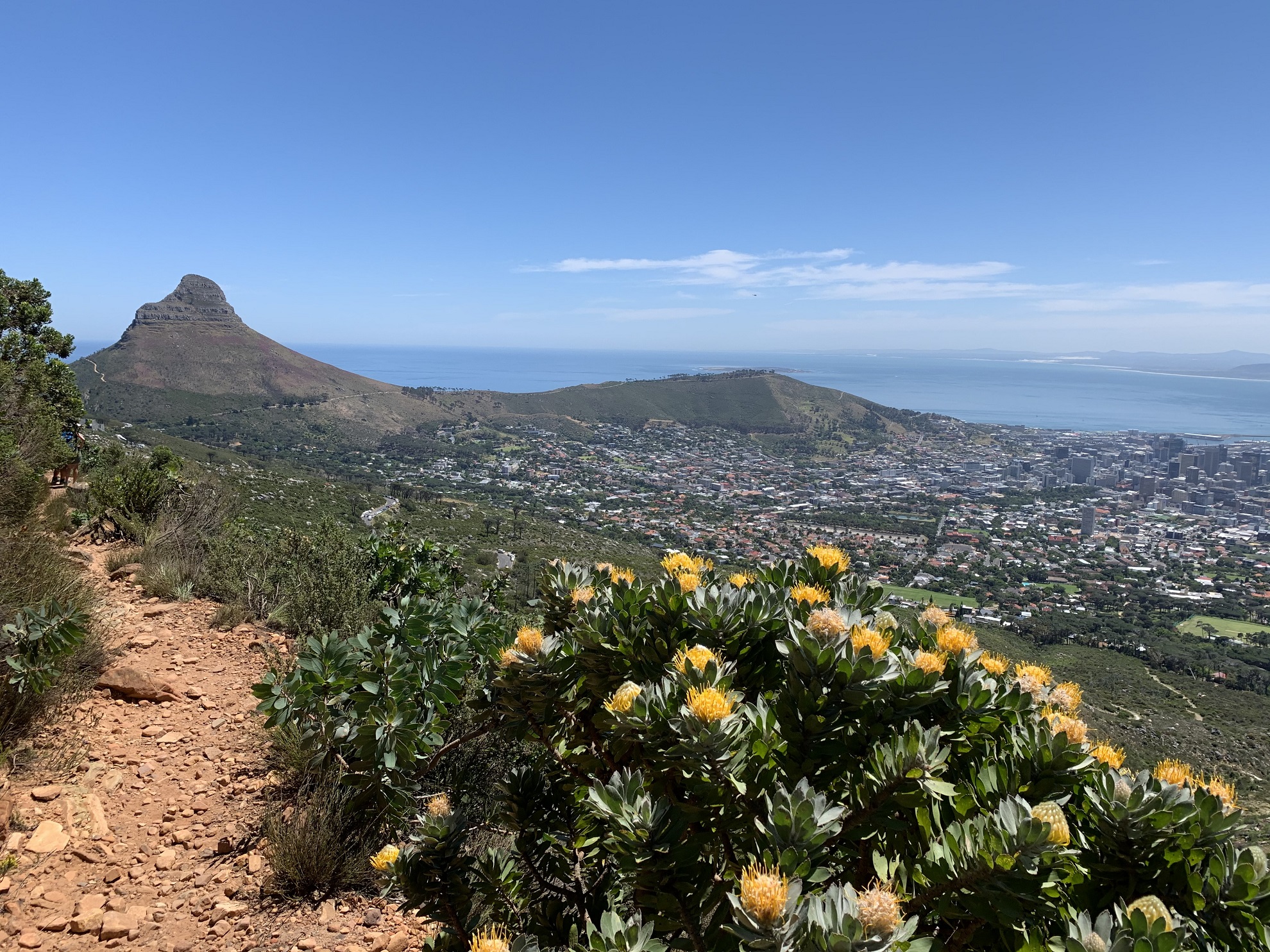 Table Mountain, sur le toit de Cape Town Ah!MonTour