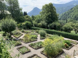 Le jardin botanique
