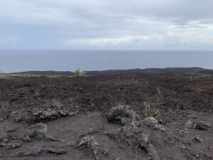 Le paysage depuis la coulée de 2007