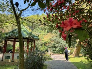 Randonnée printanière au parc de Yangmingshan