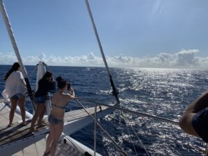 Une baleine à bosse saute hors de l'eau devant notre bateau