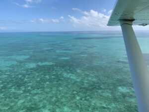 La vue lors d'un survol de la Grande Barrière de corail