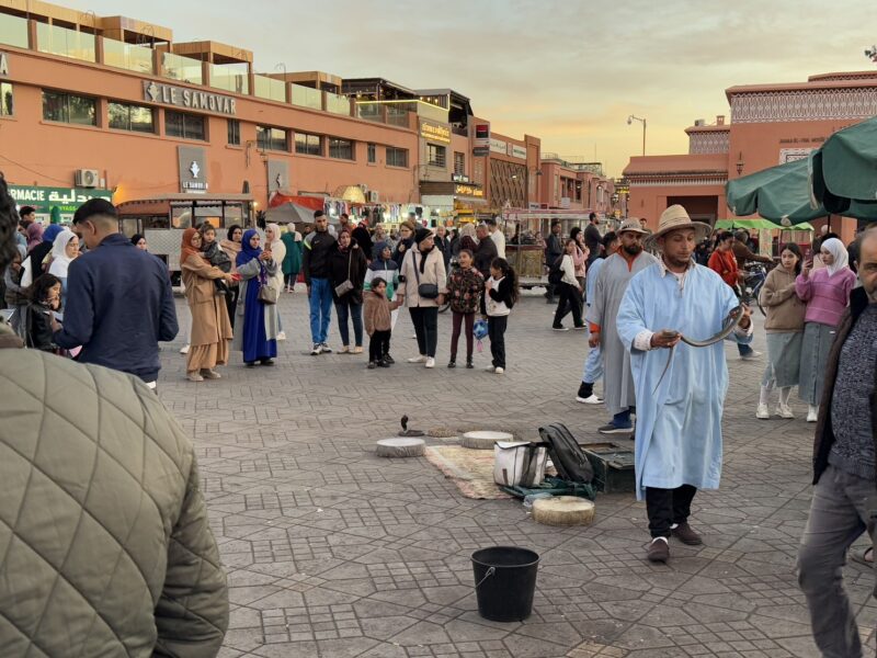 Des charmeurs de serpents sur la place Jemaa el Fna de Marrakech