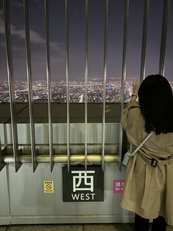 Panneau West sur la plateforme extérieure de la Taipei 101, à l'étage 91