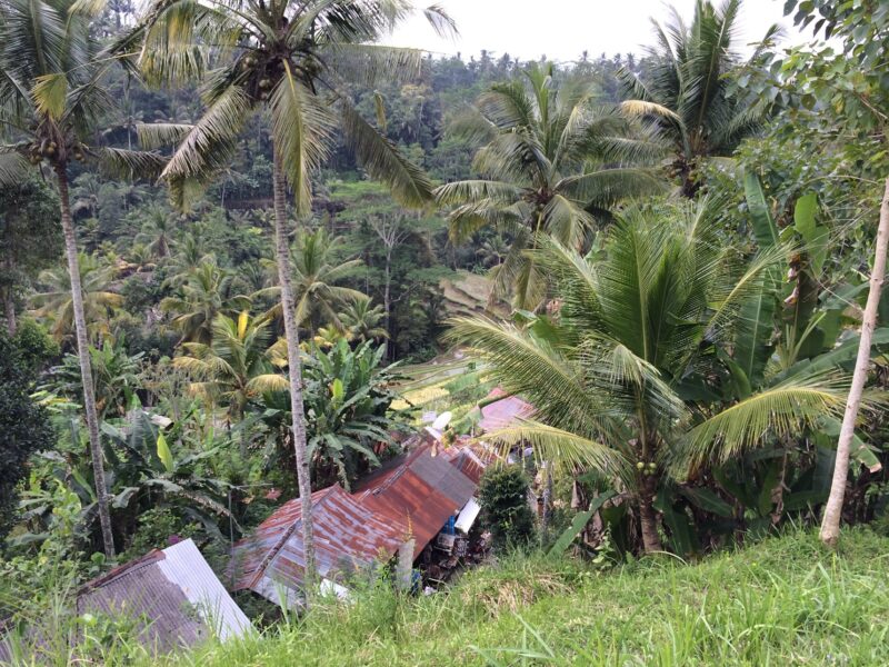 La vue depuis les hauteurs sur les rizières avant de descendre jusqu'au temple de Gunung Kawi