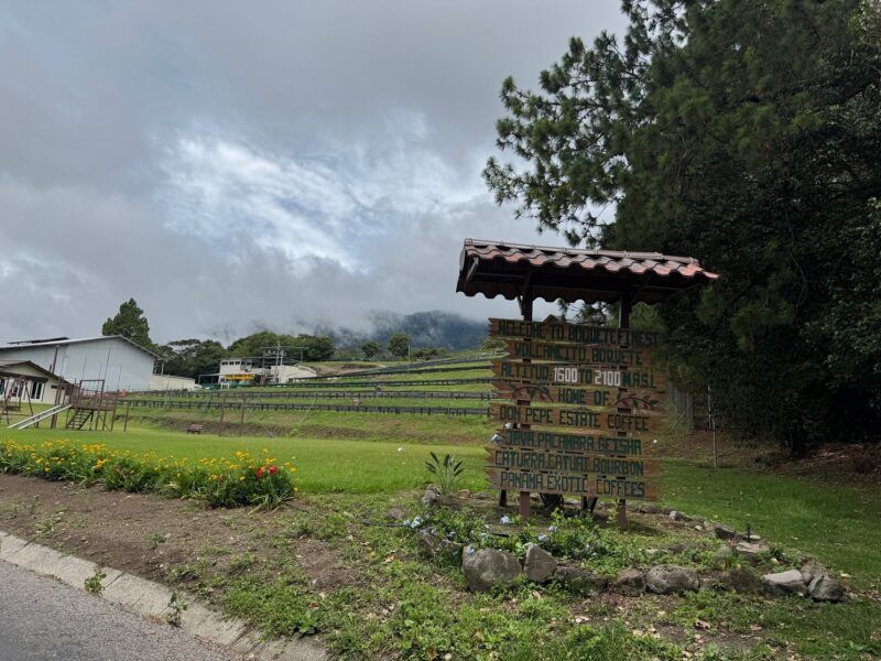 L'entrée de la finca Don Pepe, à Boquete (à l'ouest du Panama) sur les hauteurs de laquelle est cultivé le café geisha, l'un des plus chers du monde