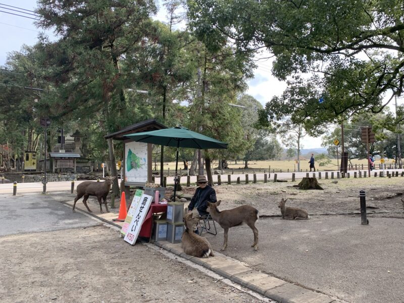 Le stand d'un vendeur ambulant de shika senbei, des friandises à base de riz dont raffolent les cerfs du parc de Nara