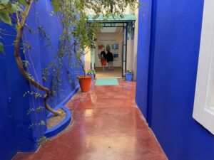 Une allée derrière la villa du jardin Majorelle, à côté de la boutique