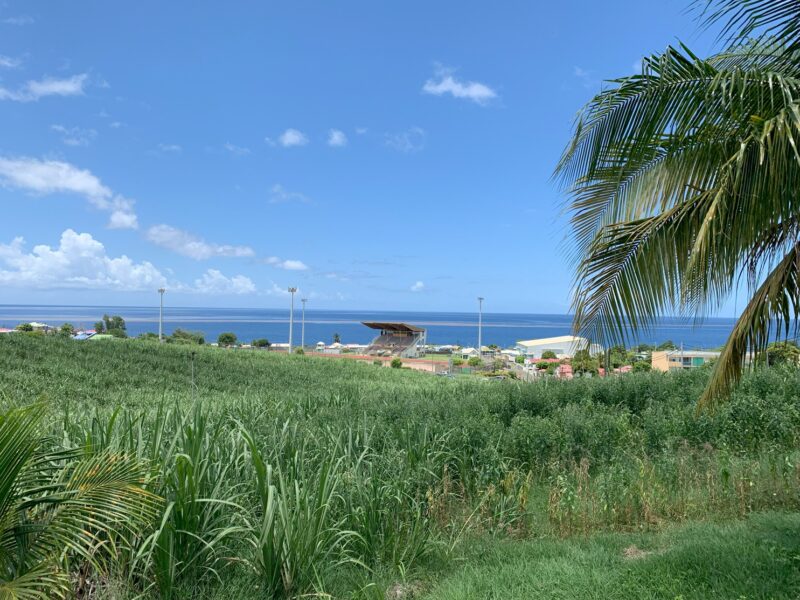La vue sur les plantations de cannes à sucre et la mer des Caraïbes, au loin