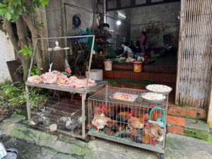 Un vendeur de poulets dans une rue de Hanoï (Vietnam)