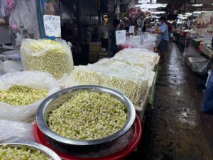 Des boutons de fleurs de jasmin, très utilisés dans les guirlandes d'offrandes traditionnelles (phuang malai)