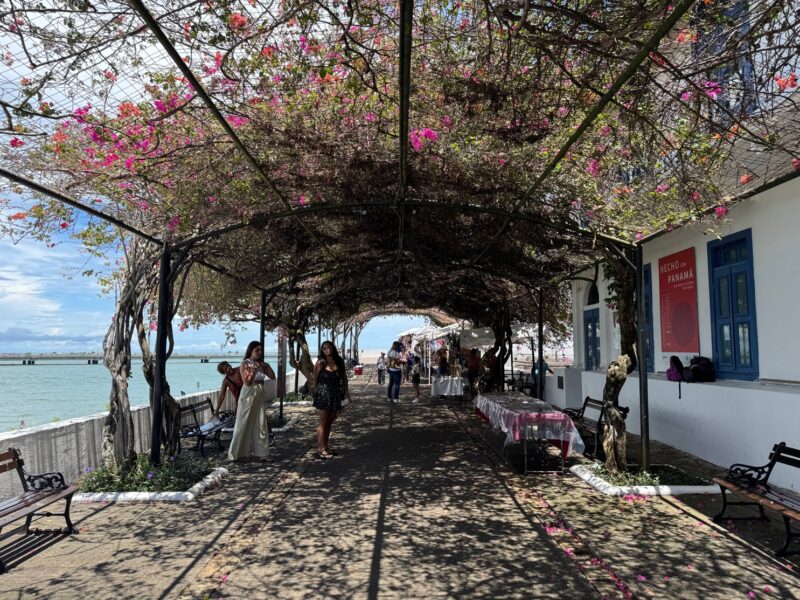 La longue pergola du Paseo de Las Bovedas (ou Paseo Esteban Huertas) à Panama