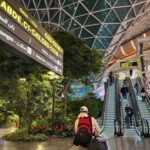 Pendant une correspondance à l'aéroport international Hamad de Doha, les voyageurs peuvent profiter d'un peu de verdure avec The Orchard