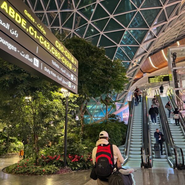 Pendant une correspondance à l'aéroport international Hamad de Doha, les voyageurs peuvent profiter d'un peu de verdure avec The Orchard