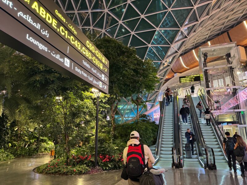 Pendant une correspondance à l'aéroport international Hamad de Doha, les voyageurs peuvent profiter d'un peu de verdure avec The Orchard