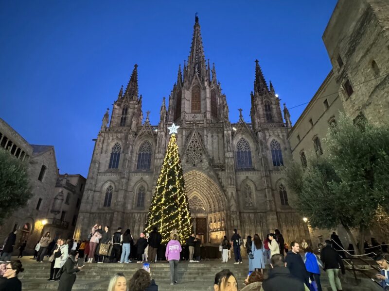 Le grand sapin installé devant la cathédrale de Barcelone, où se tient chaque année (depuis 1786) le marché historique de la Fira de Santa Llúcia