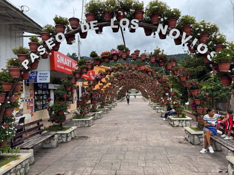 Le Paseo de los novios ("promenade des amoureux") à Boquete (Panama)