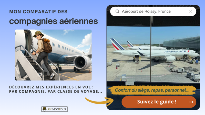 Découvrez mon guide complet des compagnies aériennes : mes expériences en vol par compagnie, par classe de voyage...