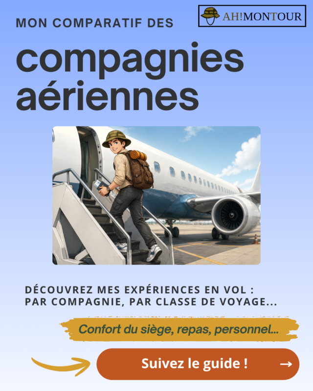 Découvrez mon guide complet des compagnies aériennes : mes expériences en vol par compagnie, par classe de voyage...
