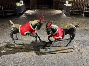 Les sculptures de chèvres de Poznan (Pomnik Koziołków), sur la place Kolegiacki, décorées pour les fêtes de fin d'année
