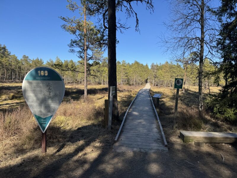 Les planches de bois marquent l'entrée dans la tourbière de Viru, à proprement parler