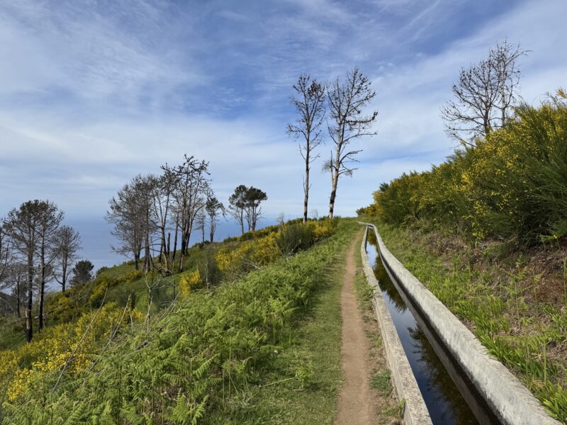 Une randonnée facile et agréable le long de la levada près de Fajã da Ovelha (Madère)