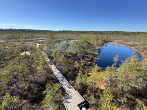 Depuis Tallinn : ma visite du parc de Lahemaa