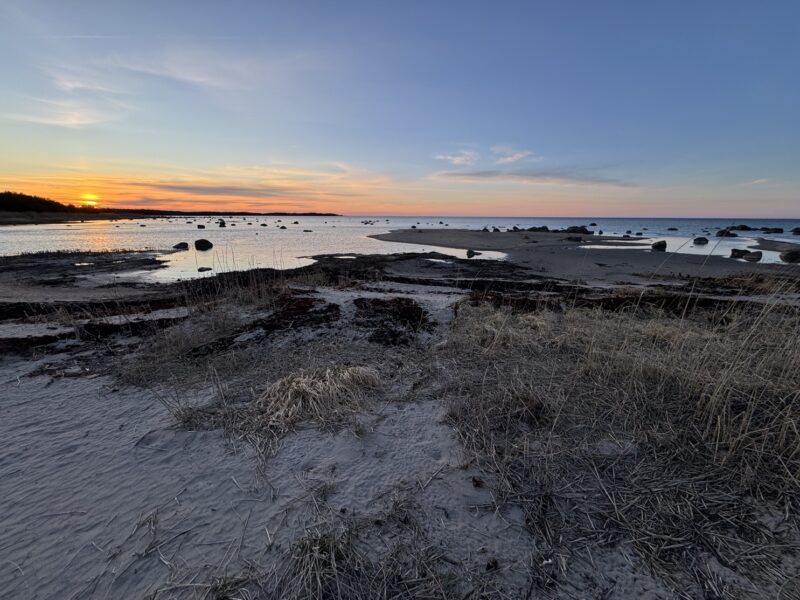 Le coucher de soleil depuis la plage de Vergi, dans le parc de Lahemaa en Estonie