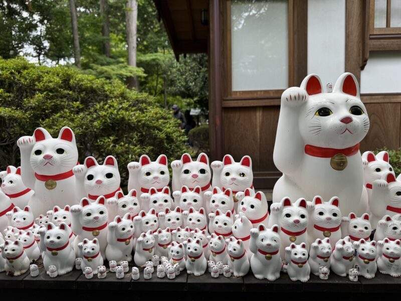 Des figurines en céramique du chat porte-bonheur japonais (Maneki-neko) au temple Gotoku-ji à Tokyo (Japon)