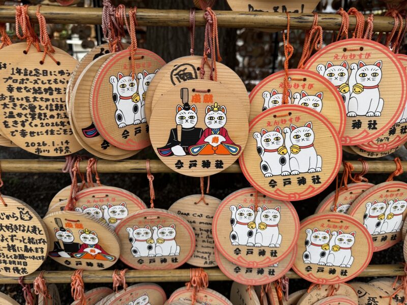 Des Maneki-neko représentés sur des emas, des plaques de bois traditionnelles des sanctuaires shinto au Japon