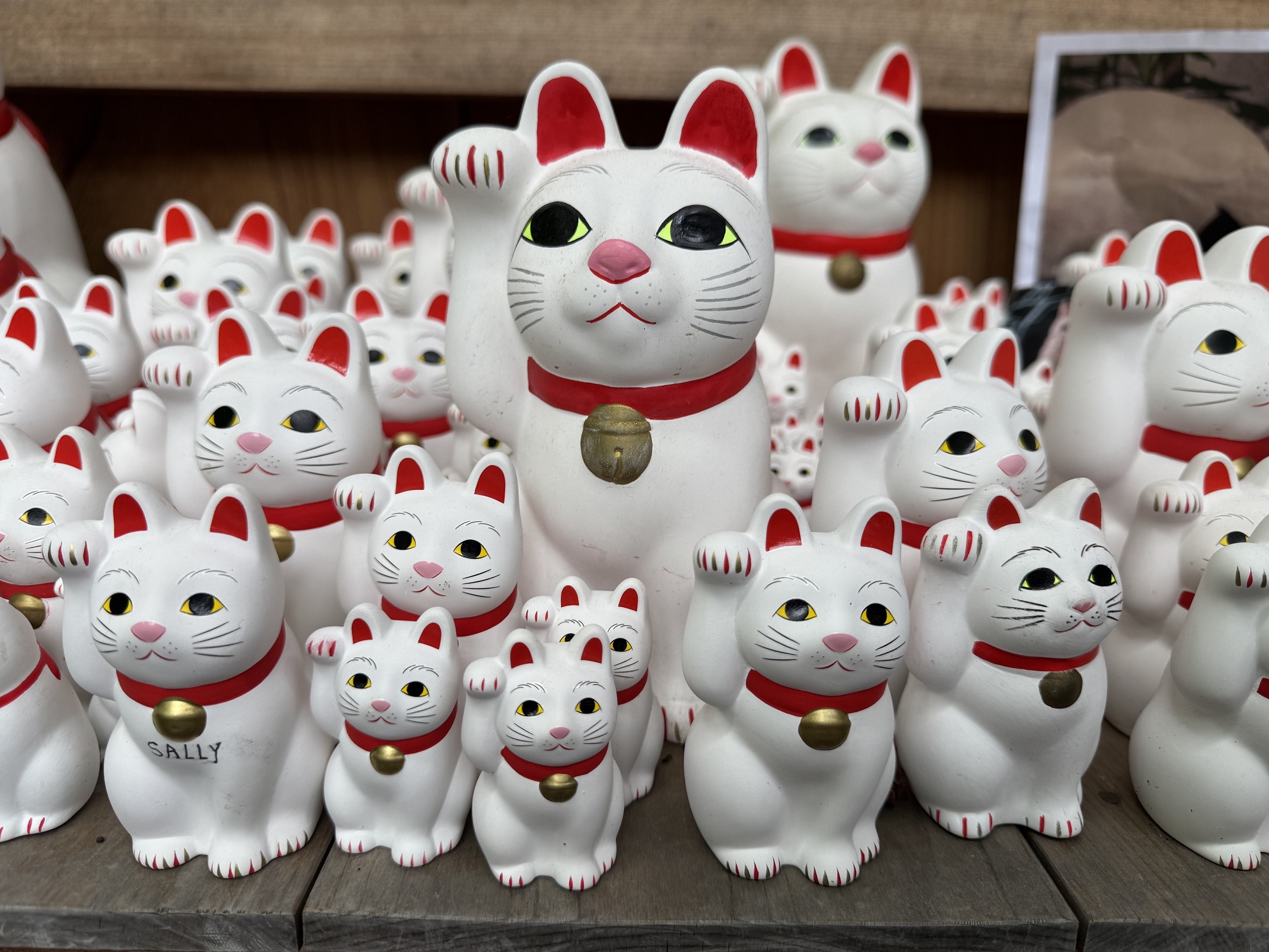 Gros plan sur des figurines du Maneki-neko (le chat porte-bonheur) au temple Gotoku-ji, à Tokyo (Japon)