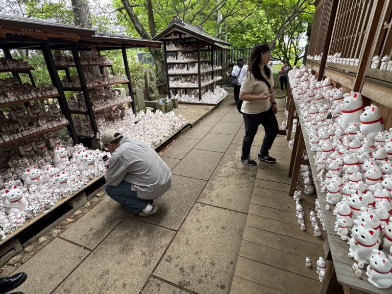 Au fil des ans, des milliers de figurines du Maneki-neko se sont entassées au Gotoku-ji, à Tokyo (Japon)