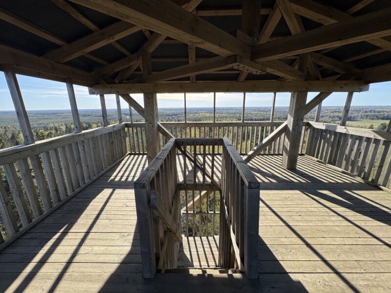 La vue à 360° sur le parc d'Alutaguse depuis la tour d'Iisaku