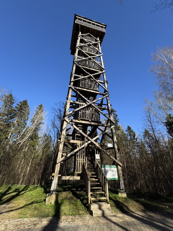 Les escaliers de la tour d'observation d'Iisaku sont un peu raides, mais le panorama sur le parc d'Alutaguse depuis le sommet vaut l'effort !