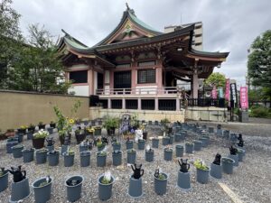 Le bâtiment principal du sanctuaire d'Imado à Tokyo (Japon)