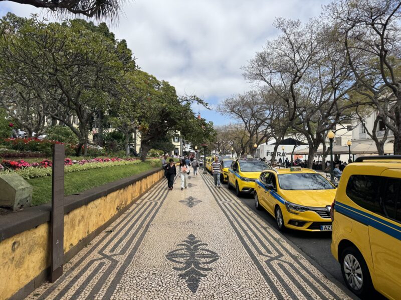 Une file de taxis sur l'avenue Arriaga, juste devant le jardin municipal de Funchal