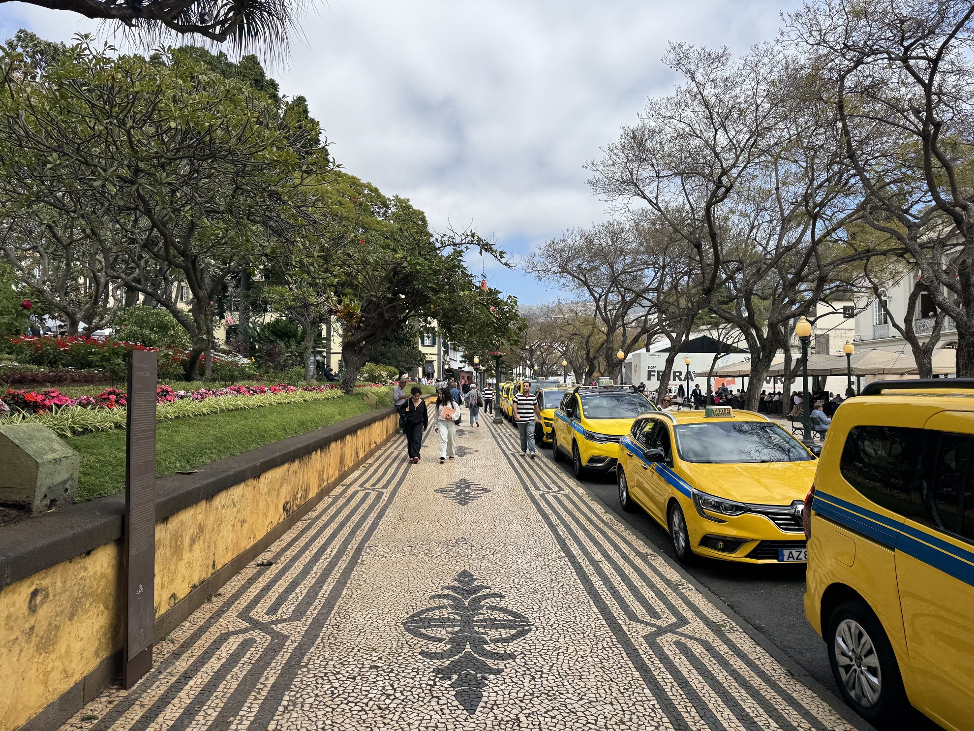 Une file de taxis sur l'avenue Arriaga, juste devant le jardin municipal de Funchal